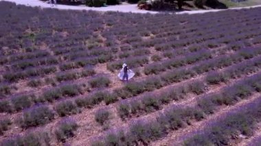 Fransa 'da Ardeche lavantası ve hava manzarası