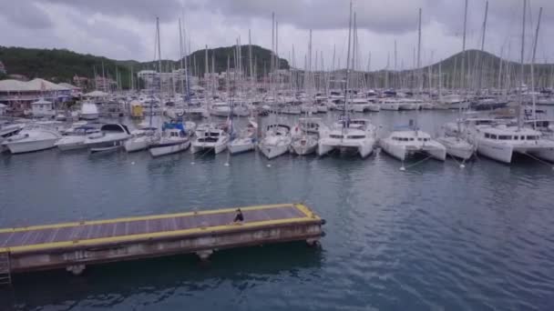 Martinique eiland en strand uitzicht vanuit de lucht in Caribische eilanden — Stockvideo