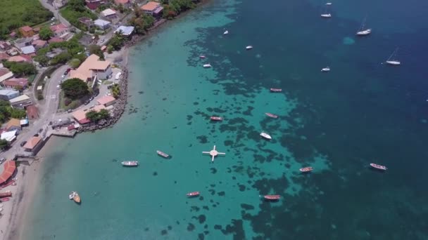 Isla Martinica y vista aérea de la playa en las islas del Caribe — Vídeo de stock