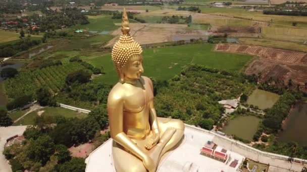 Wat Muang εναέρια άποψη, μεγαλύτερο άγαλμα Buddha στην Ταϊλάνδη — Αρχείο Βίντεο