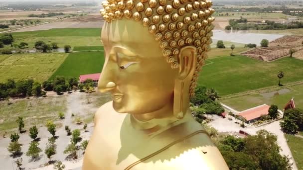 Wat Muang aerial view, biggest buddha statue in Thailand — Stock Video