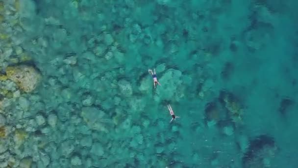 Martinik adası ve Karayip adalarındaki deniz manzarası — Stok video