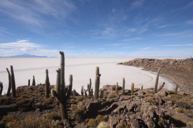 Salar de Uyuni, Bolivya'nın güneybatısında And Lar arasında