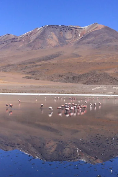 Salar de uyuni, inmitten der Anden im Südwesten Boliviens — Stockfoto