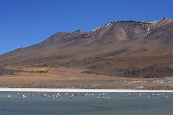 Salar de Uyuni, au milieu des Andes dans le sud-ouest de la Bolivie — Photo