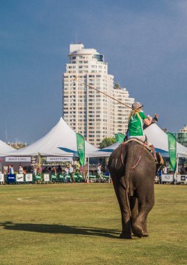 Bangkok riverside Polo Elephant Olay, Tayland