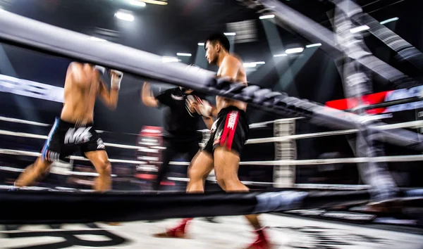 Tayland Bangkok Muay tay mücadele