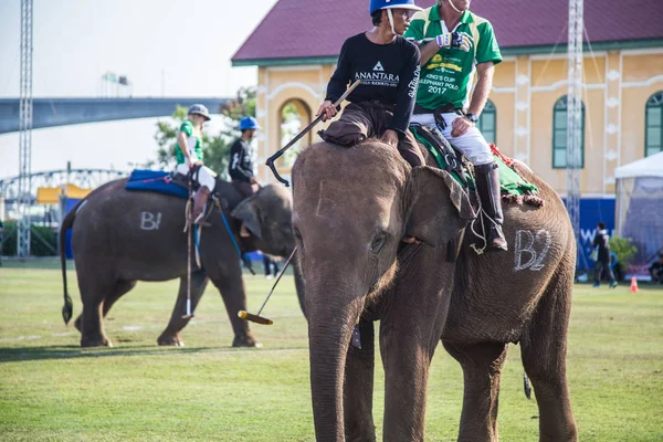 Bangkok riverside Polo Elephant Olay, Tayland