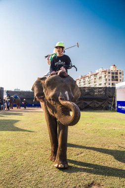 Bangkok riverside Polo Elephant Olay, Tayland