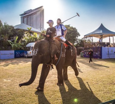 Bangkok riverside Polo Elephant Olay, Tayland