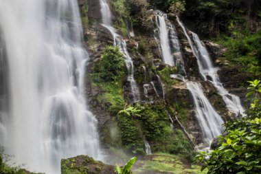 Tayland Chiang Mai Mae Şelale