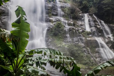 Tayland Chiang Mai Mae Şelale