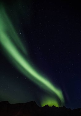 Norveç'te Lofoten adalarında Reine üzerinde Kuzey ışıkları