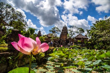 Bali Endonezya gölet ile Ubud tapınağı