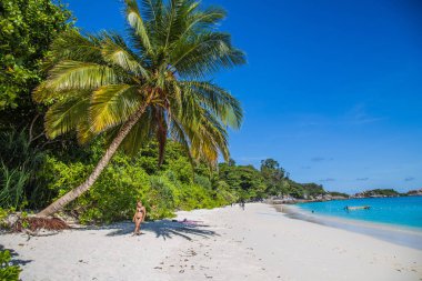 Tayland, plaj ve yukarıdan Similan ada manzarası