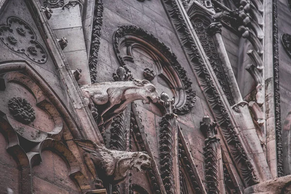 Katedrála v Notre de Dame ve Francii — Stock fotografie