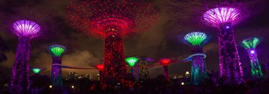 Bay doğa parkı Singapur bahçelerle