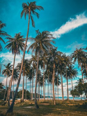 Laem 'in Koh Yao Yai' de cenneti vardı. Phuket ve Krabi Tayland arasında bir ada.