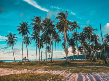 Laem 'in Koh Yao Yai' de cenneti vardı. Phuket ve Krabi Tayland arasında bir ada.