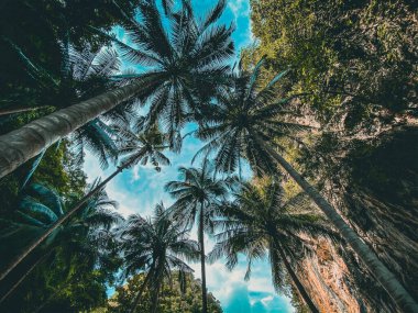 Koh Lao Cennet Sahili, Andaman Denizi 'nde Phuket ve Krabi Tayland arasında bir ada.