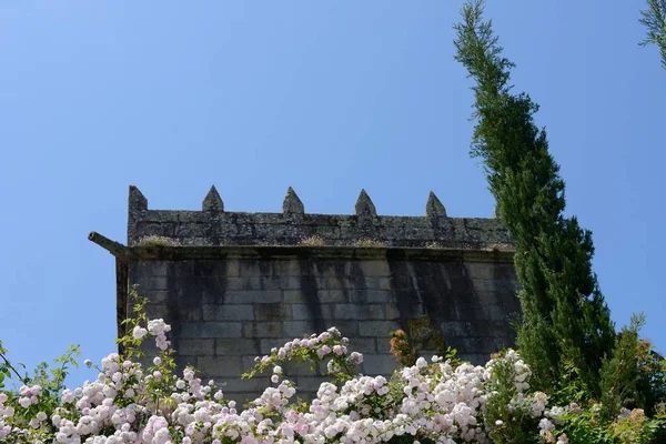Çiçeklerle Çevrili Bir Antik Kale Kule — Stok fotoğraf
