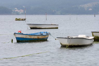 demirleyen ahşap balıkçı tekneleri