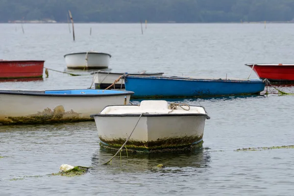 Fischerboote Aus Holz Festgemacht — Stockfoto