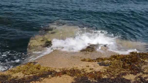 海水冲刷水中岩石的视频特写 — 图库视频影像