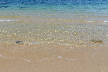 kıyı şeridi üzerinde deniz plaj yakın çekim