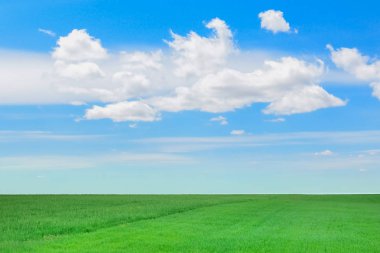 alan bulutlar ile mavi gökyüzüne karşı yeşil çimen
