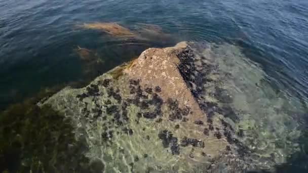 Vídeo Uma Rocha Água Lavada Por Água Mar Close — Vídeo de Stock