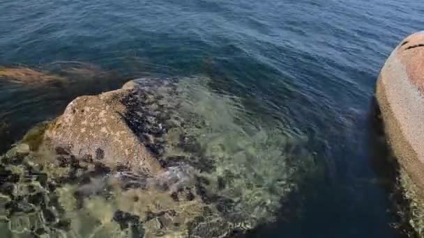 Film Kamieniem Wodzie Myte Przez Morze Woda Zbliżenie — Wideo stockowe