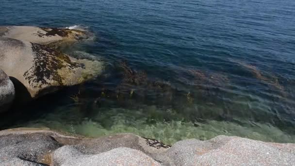 Film Kamieniem Wodzie Myte Przez Morze Woda Zbliżenie — Wideo stockowe