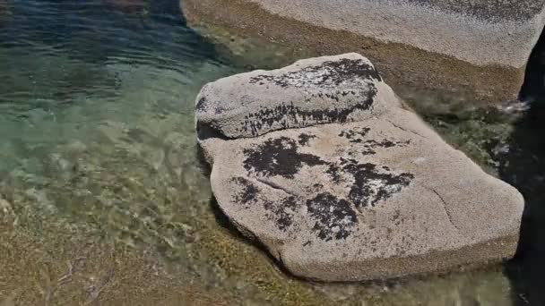 Video Eines Felsens Wasser Der Von Meerwasser Aus Nächster Nähe — Stockvideo