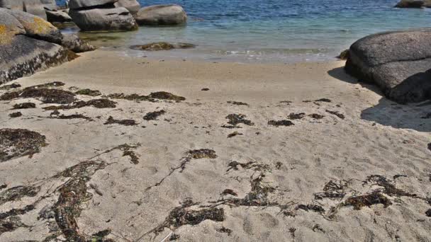 Beautiful Seascape Empty Tropical Beach Surrounded Stone Boulders — Stock Video