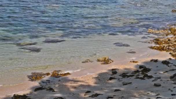 Bellissimo Paesaggio Marino Spiaggia Tropicale Vuota Circondata Massi Pietra — Video Stock