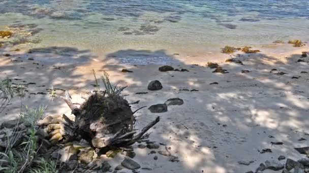 Beautiful Seascape Empty Tropical Beach Surrounded Stone Boulders — Stock Video