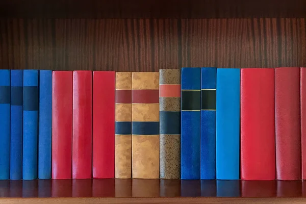 Βιβλία Σχετικά Ένα Ξύλινο Ράφι Στέκεται Μια Σειρά — Φωτογραφία Αρχείου