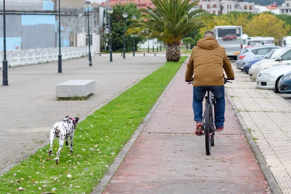 Uomo Bicicletta Piedi Con Cane — Foto Stock