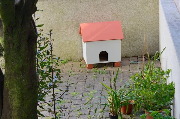 Hundehütte Auf Der Terrasse Des Hauses — Stockfoto