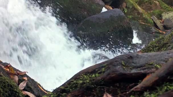 Πανέμορφο Καταρράκτη Στο Ποτάμι Βουνό — Αρχείο Βίντεο