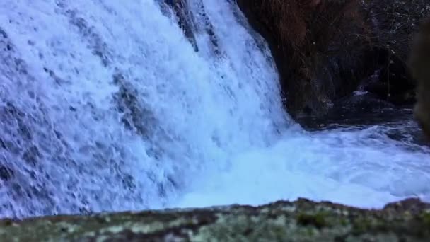 Hermosa Cascada Río Montaña Cerca Cámara Lenta — Vídeos de Stock