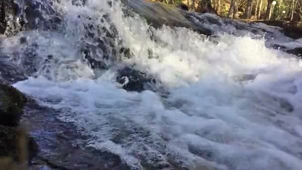 Hermosa Cascada Río Montaña Cerca Cámara Lenta — Vídeos de Stock