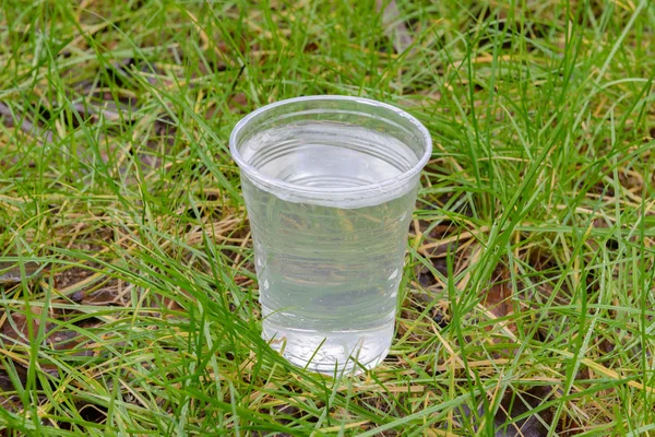 plastic cup with water in the grass