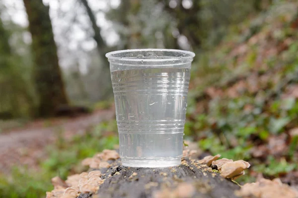 plastic cup with water on a wooden log