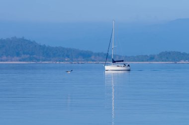 sabah deniz manzarası ile yelkenli yat