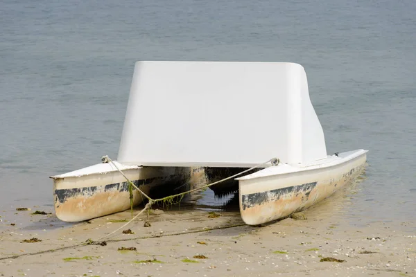 Catamaran Blanc Sur Sable Sur Plage — Photo