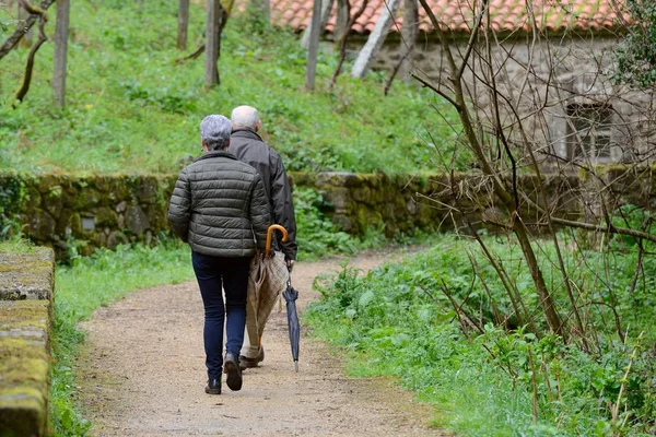 Äldre Par Promenader Längs Sökvägen Parken — Stockfoto