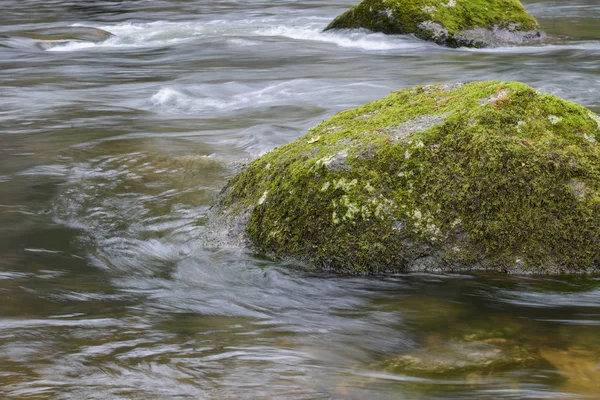 Rock covered with moss on the river, blurred motion — Stock Photo, Image