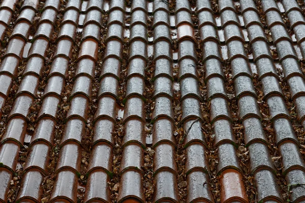 Rows of wet tiles on the roof of a house close up, background, t — Stock Photo, Image